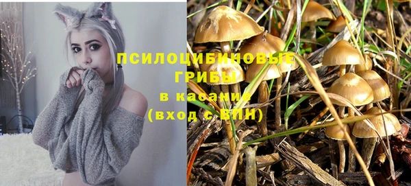 гидропоника Наволоки