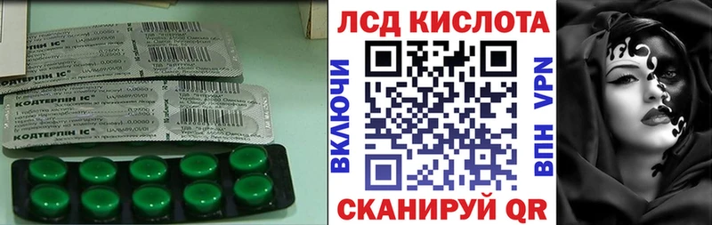 blacksprut как зайти  Нестеров  ЛСД экстази кислота 