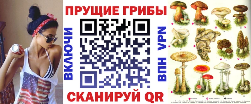 Псилоцибиновые грибы GOLDEN TEACHER  Нестеров 